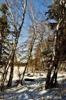 winter in Manitoba - a winter camp site over looking a frozen lake photo