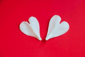 dos pétalos de flores blancas en forma de corazón sobre fondo rojo. foto