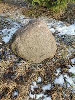 A large stone on last year's grass.One stone on the melted snow.close up photo