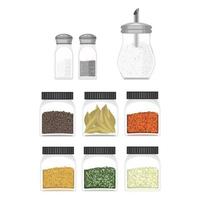Ilustration of different type spices vector