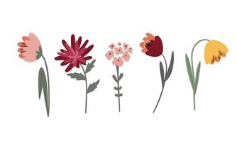 vector set of multicolored garden flowers on a light background