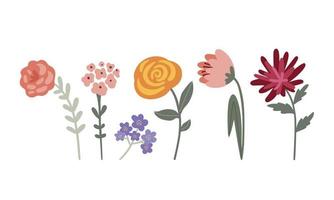 Conjunto de flores de jardín multicolores sobre un fondo claro vector