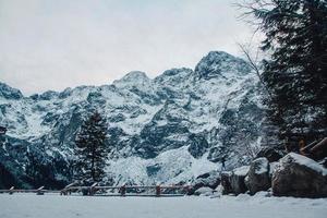 Winter landscape of snowy forest and rocks. Place for text or advertising photo