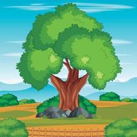 Scene of a Tree in the Natural Park vector