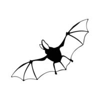 Flying Bat  line art vector