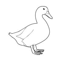 Duck Line Art vector