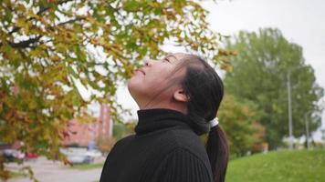 mulher asiática feliz de pé e respirando fundo no parque no outono, tomando ar fresco e sorrindo, folha amarela na árvore e fundo da rua, lindo dia na temporada de outono, suécia