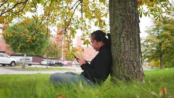 Asian woman typing and slide the screen on smartphone at the park in Autumn, woman sitting under the tree and wearing black long-sleeved shirt, yellow leaf on the tree, Sweden video