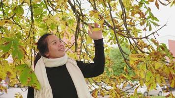 Asian woman wearing black long-sleeved shirt and scarf, walking around and touching the tree at park, feel happy, yellow leaf on the ground, Beautiful day in Autumn season, sweden video