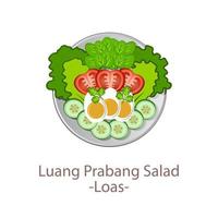 top view of popular food of ASEAN national,Luang Prabang Salad,in cartoon vector