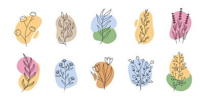 Hand drawn twigs and spots. Vector illustration for logo, insta highlight, icon