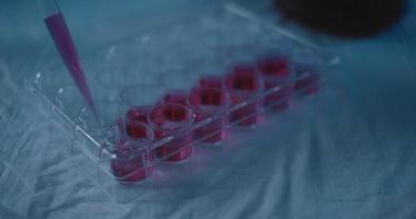 Scientist placing a red liquid sample with micro pipette into a test tubes. video