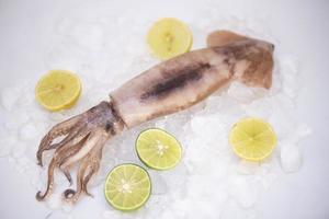 calamares crudos sobre hielo con especias de ensalada lima limón sobre el fondo del plato blanco, calamares frescos, pulpo o sepia para comida cocinada en el restaurante o en el mercado de mariscos