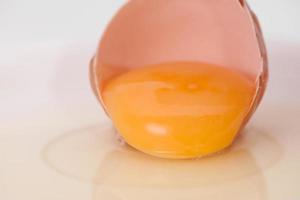 broken egg on white background close up photo