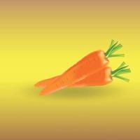 Carrot vector illustration