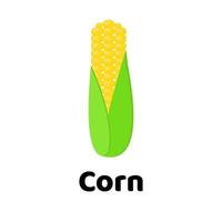ilustración vectorial vegetal. maíz vector