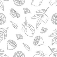 seamless pattern of lemon with hand draw style vector