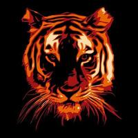 Tiger head realistic vector illustration on black background.