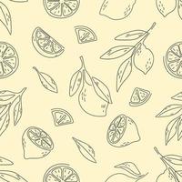 patrón sin costuras de limón con estilo de dibujo a mano vector
