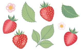 Strawberry set. Vector illustration for organic food, fruit, farm market, natural product concept