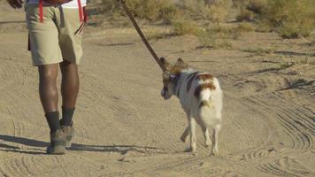 een jonge man backpacken in een bergachtige woestijn met zijn hond.