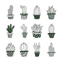 hand drawn cactus succulent vector