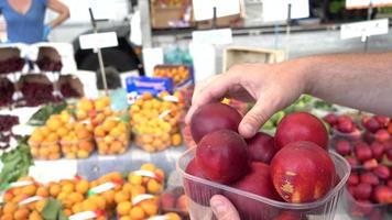 mogna persikor på matmarknaden i Milano - Italien sommaren 2017 video