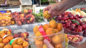 albaricoques maduros en el mercado de alimentos de milán - verano de italia video