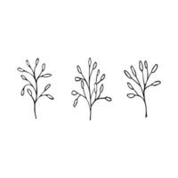 Romantic simple little  flower set, hand drawn doodle vector