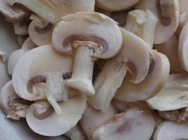 champignon mushroom food photo