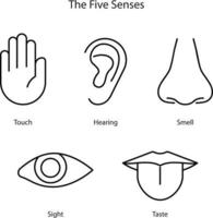 Five human senses, Hearing, Sight, Smell, Taste and Touch. Simple line icons and color circles eye, nose, ear, mouth with tongue, hand. Human perception scheme. Five senses. vector
