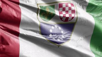 federatie van bosnië en herzegovina textielvlag langzaam zwaaiend op de windlus. 20 seconden lus. video