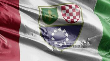 drapeau de la fédération de bosnie-herzégovine agitant sur la boucle du vent. bannière bosnie-herzégovine se balançant sur la brise. fond de remplissage complet. Boucle de 10 secondes.