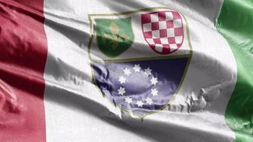 Federation of Bosnia and Herzegovina textile flag waving on the wind loop. Bosnia and Herzegovina banner swaying on the breeze. Fabric textile tissue. Full filling background. 10 seconds loop. video