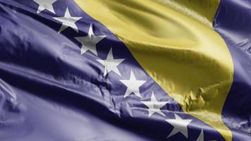 vlag van bosnië en herzegovina zwaaien op de windlus. bosnië en herzegovina banner zwaaiend op de wind. volledige vulling achtergrond. 10 seconden lus. video