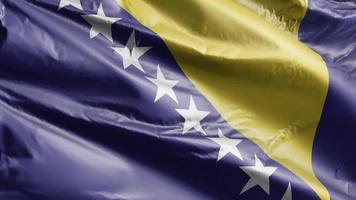 Bosnia and Herzegovina flag slow waving on the wind loop. Bosnia and Herzegovina banner smoothly swaying on the breeze. Full filling background. 20 seconds loop. video