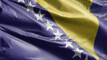 bandeira da bósnia e herzegovina acenando lentamente no loop de vento. bandeira da bósnia e herzegovina balançando suavemente na brisa. fundo de preenchimento completo. Ciclo de 20 segundos. video