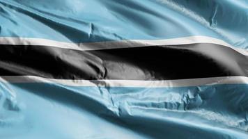 bandeira do botswana acenando no loop de vento. bandeira do botswana balançando na brisa. fundo de preenchimento completo. loop de 10 segundos. video