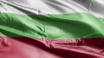 Bulgaria flag waving on the wind loop. Bulgarian banner swaying on the breeze. Full filling background. 10 seconds loop. video