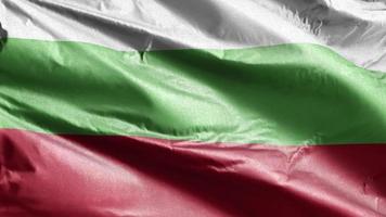 bandera textil de bulgaria ondeando lentamente en el bucle de viento. bandera búlgara balanceándose suavemente con la brisa. tejido textil tejido. fondo de relleno completo. Bucle de 20 segundos.