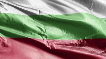 Bulgaria textile flag waving on the wind loop. Bulgarian banner swaying on the breeze. Fabric textile tissue. Full filling background. 10 seconds loop. video