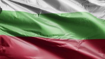 Bulgaria flag slow waving on the wind loop. Bulgarian banner smoothly swaying on the breeze. Full filling background. 20 seconds loop. video