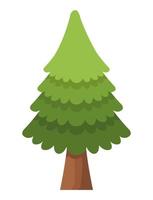 pine tree plant vector