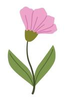 pink flower and leafs vector