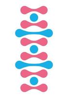 dna structure molecule vector