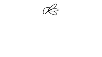 schöne Blumen Echinacea. kontinuierliche Linienzeichnung. Vektor-Illustration video