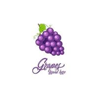 uvas, plantilla de vector de logotipo de fruta. uvas en estilo plano. icono de uva. diseño de uvas y frutas saludables con estilo moderno. ilustración vectorial de uvas