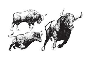 conjunto de bocetos de toros dibujados a mano vector
