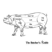 Cut of pork set Butcher diagram Vintage hand-drawn graphic Vector illustration on white
