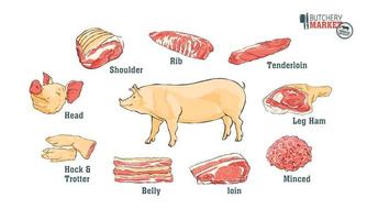 cortes de carne de cerdo parte del corte de carne de cerdo conjunto. cartel carnicero diagrama vintage tipográfico dibujado a mano. ilustración vectorial en blanco vector